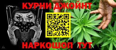 гидра Можга