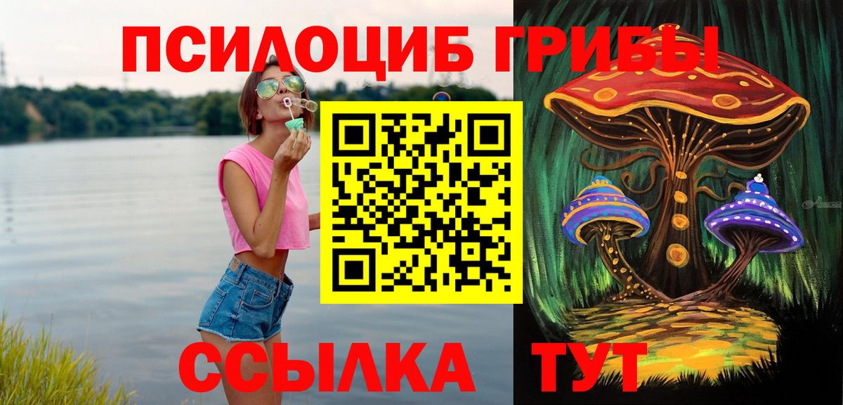 Тобольск  Галлюциногенные грибы прущие грибы  Вход с VPN 