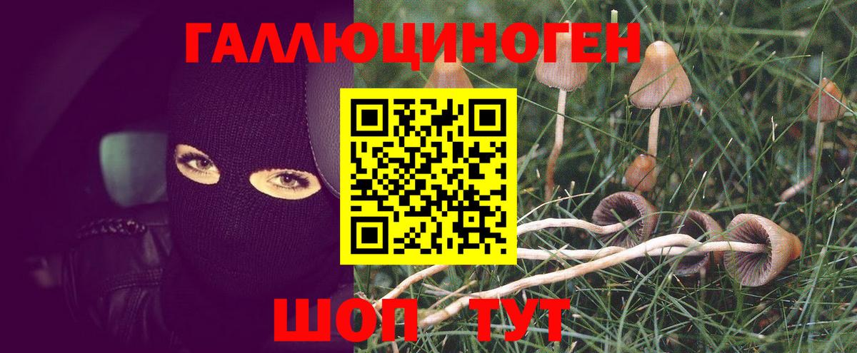 Галлюциногенные грибы Magic Shrooms Тобольск